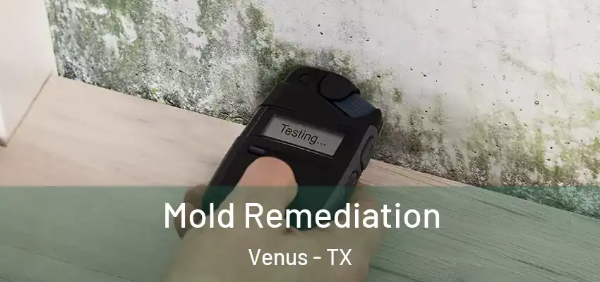 Mold Remediation Venus - TX