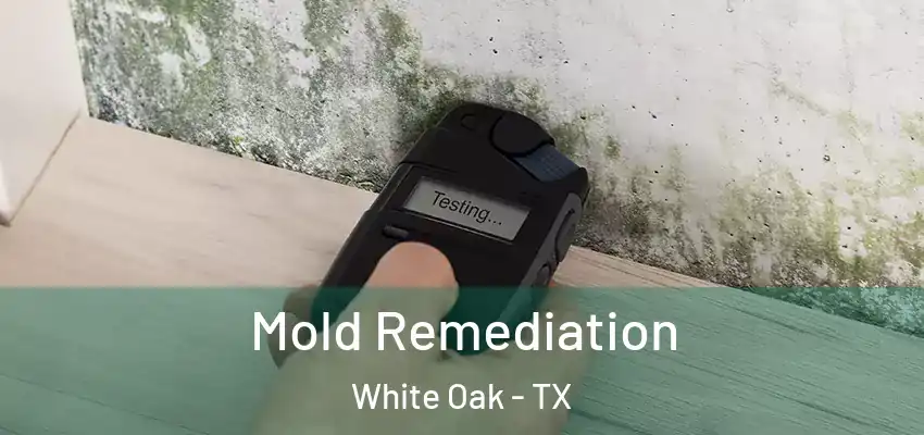 Mold Remediation White Oak - TX
