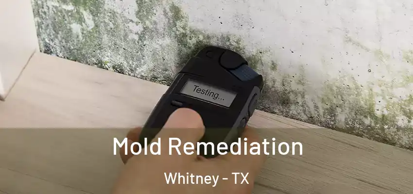 Mold Remediation Whitney - TX