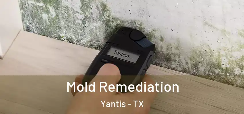 Mold Remediation Yantis - TX