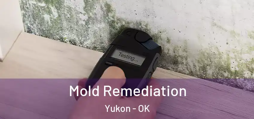 Mold Remediation Yukon - OK