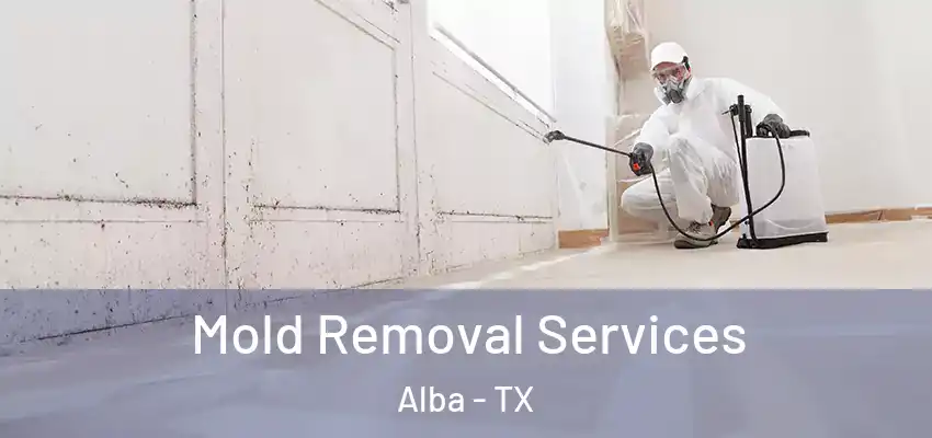  Mold Removal Services Alba - TX