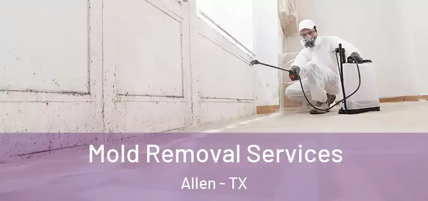  Mold Removal Services Allen - TX