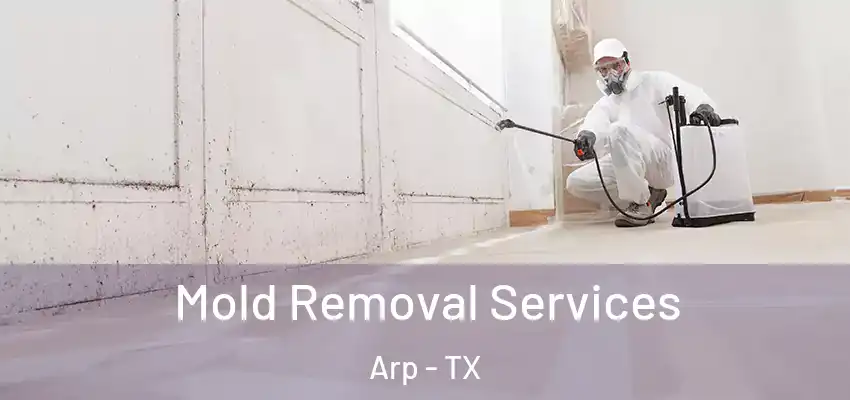  Mold Removal Services Arp - TX