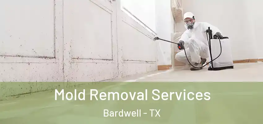 Mold Removal Services Bardwell - TX