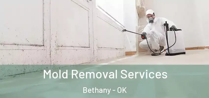 Mold Removal Services Bethany - OK