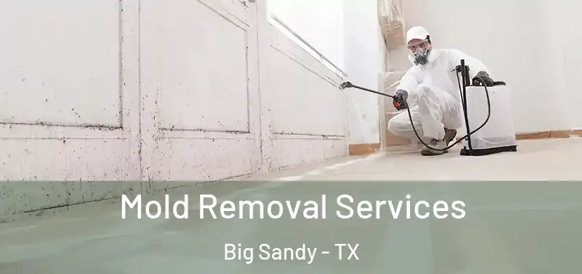 Mold Removal Services Big Sandy - TX