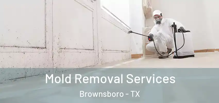 Mold Removal Services Brownsboro - TX