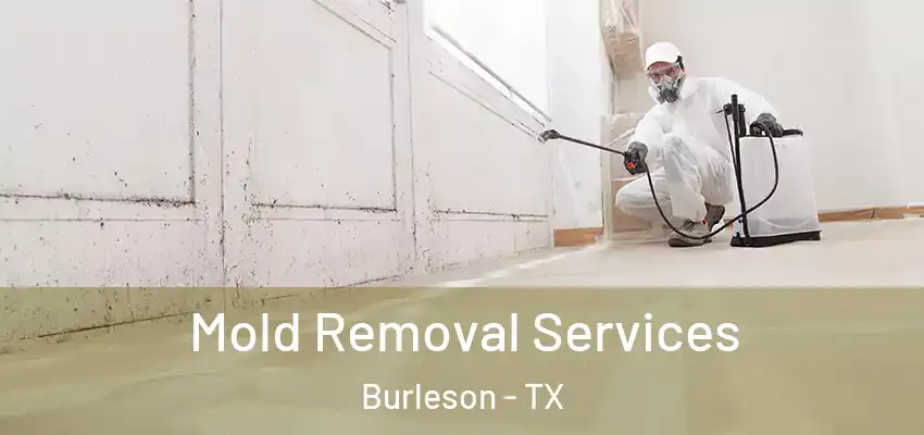  Mold Removal Services Burleson - TX