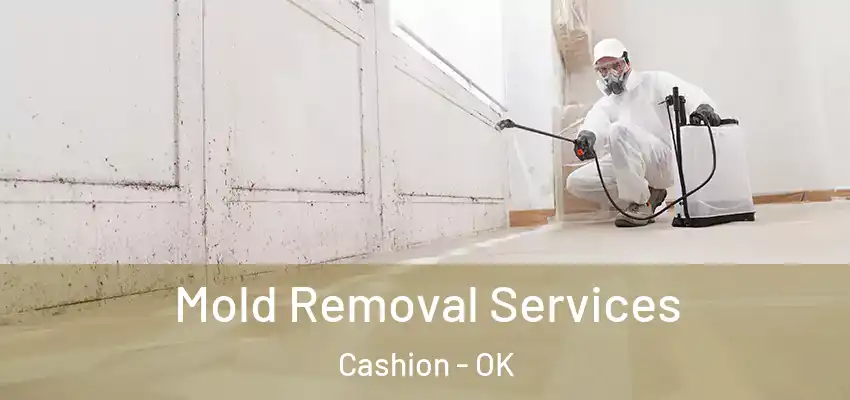  Mold Removal Services Cashion - OK