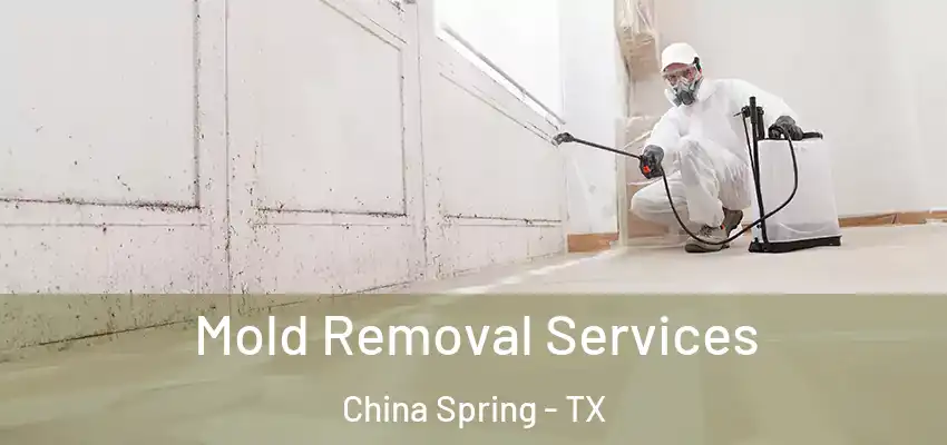 Mold Removal Services China Spring - TX