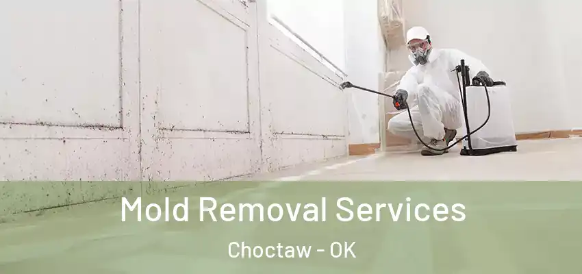 Mold Removal Services Choctaw - OK