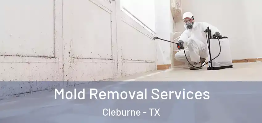  Mold Removal Services Cleburne - TX