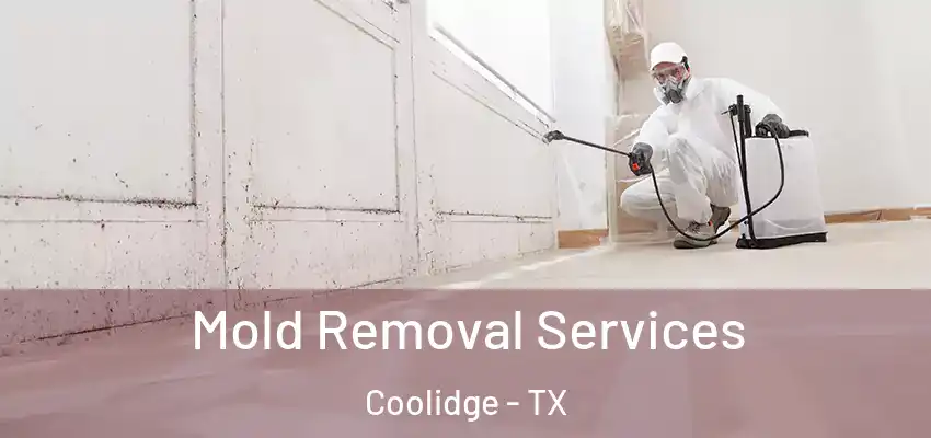  Mold Removal Services Coolidge - TX