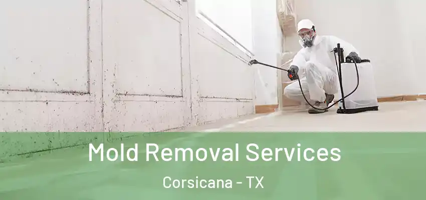  Mold Removal Services Corsicana - TX