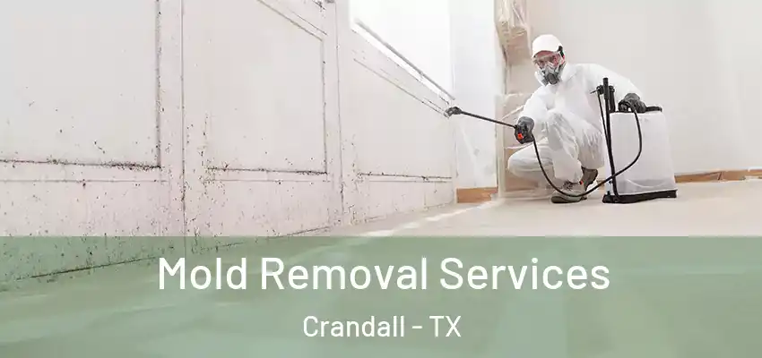  Mold Removal Services Crandall - TX