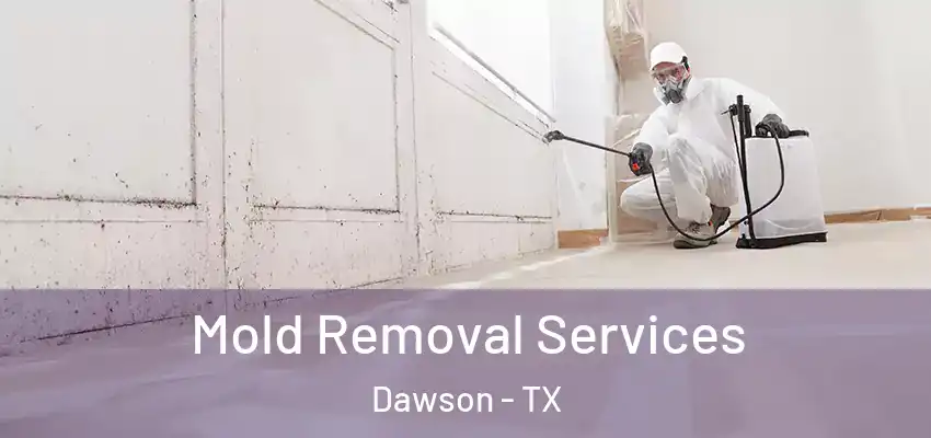 Mold Removal Services Dawson - TX