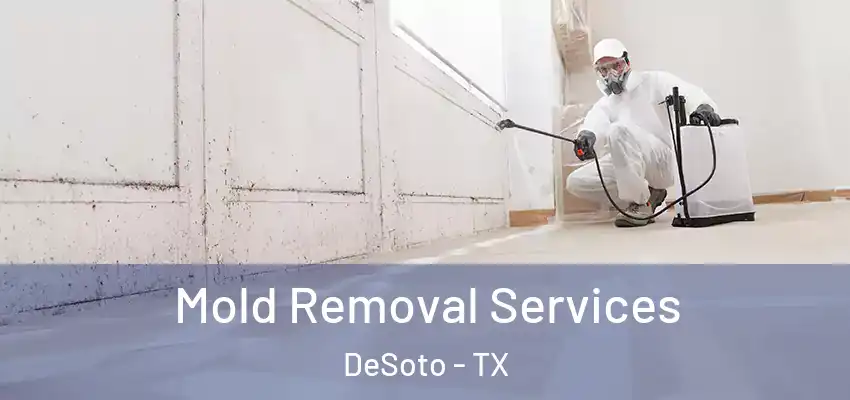  Mold Removal Services DeSoto - TX