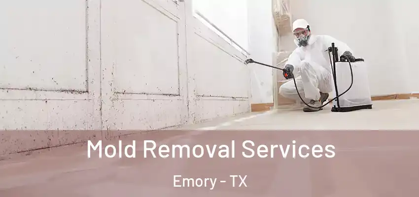 Mold Removal Services Emory - TX