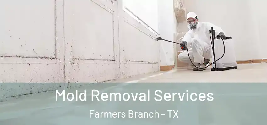 Mold Removal Services Farmers Branch - TX