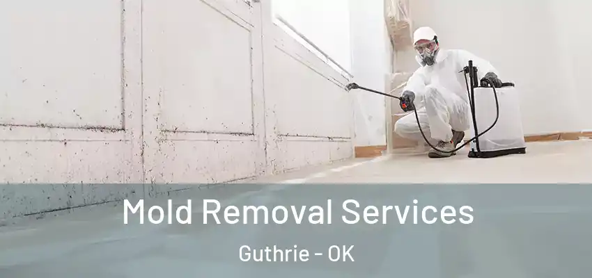  Mold Removal Services Guthrie - OK