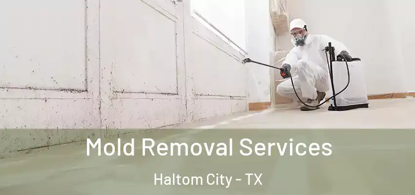 Mold Removal Services Haltom City - TX