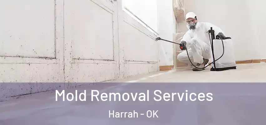 Mold Removal Services Harrah - OK