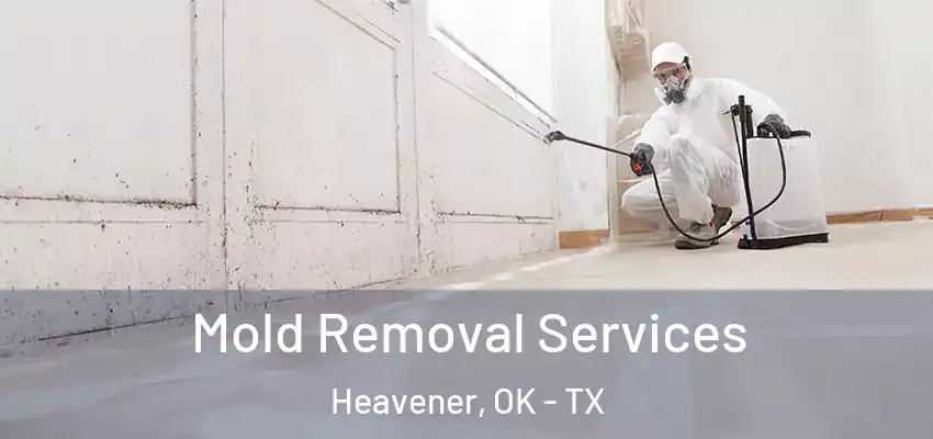 Mold Removal Services Heavener, OK - TX