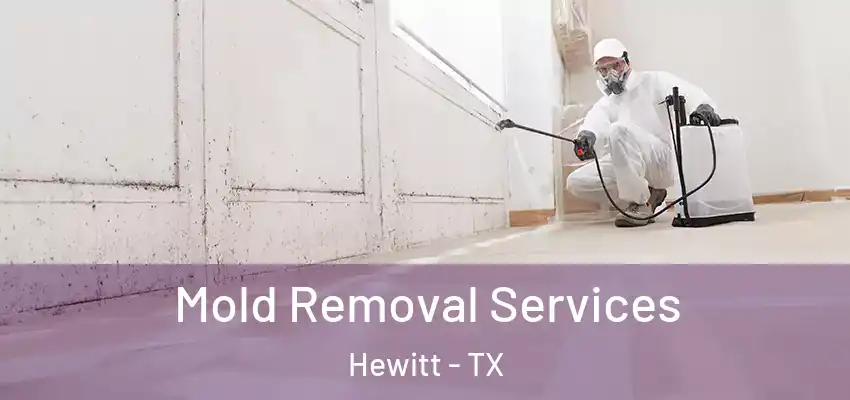 Mold Removal Services Hewitt - TX