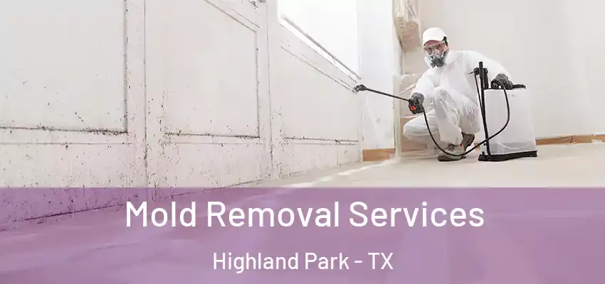 Mold Removal Services Highland Park - TX
