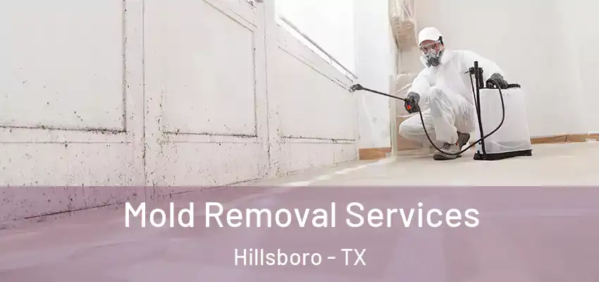  Mold Removal Services Hillsboro - TX
