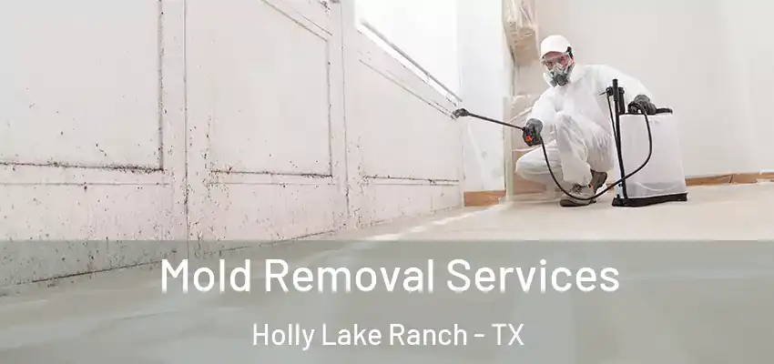  Mold Removal Services Holly Lake Ranch - TX