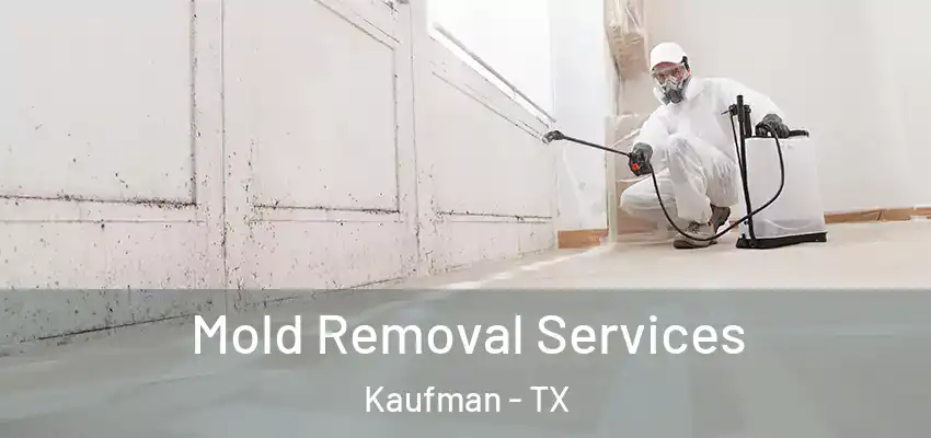  Mold Removal Services Kaufman - TX