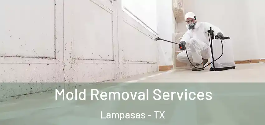 Mold Removal Services Lampasas - TX