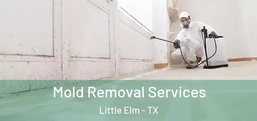Mold Removal Services Little Elm - TX