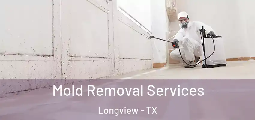  Mold Removal Services Longview - TX