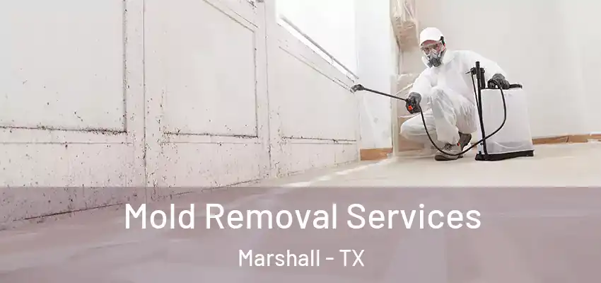  Mold Removal Services Marshall - TX