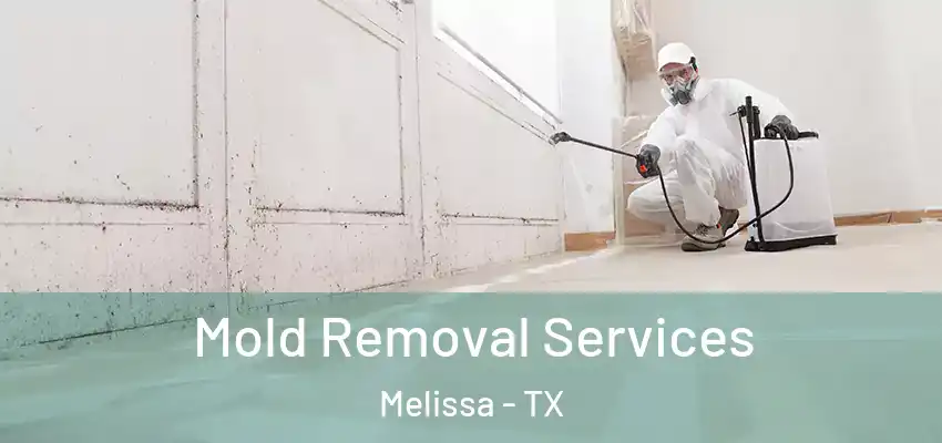  Mold Removal Services Melissa - TX