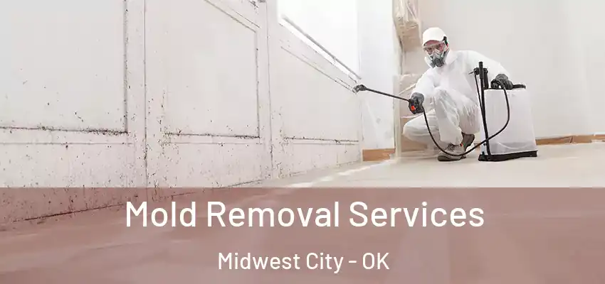 Mold Removal Services Midwest City - OK