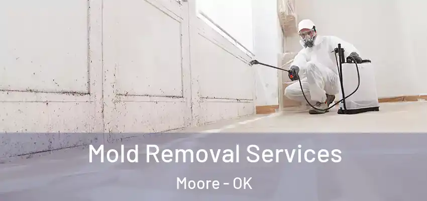  Mold Removal Services Moore - OK