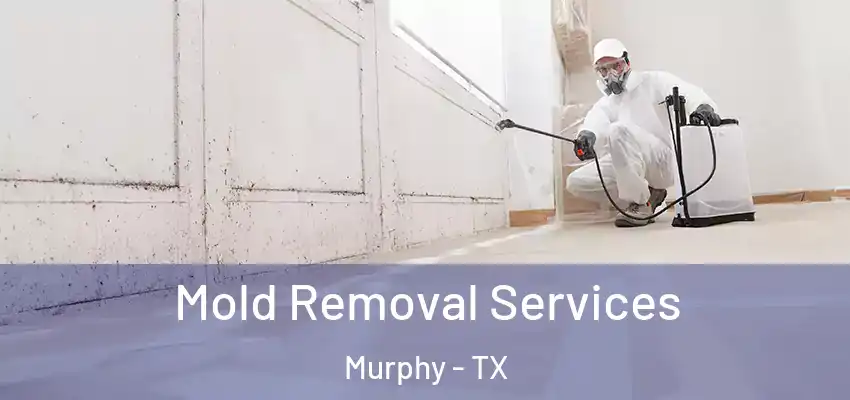 Mold Removal Services Murphy - TX