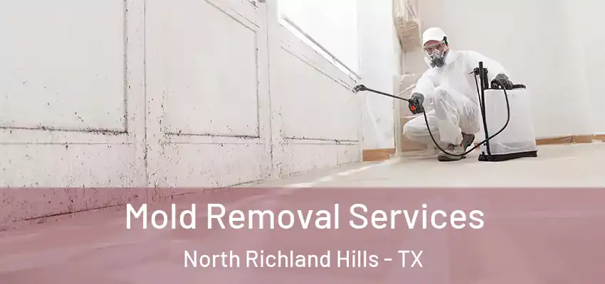  Mold Removal Services North Richland Hills - TX