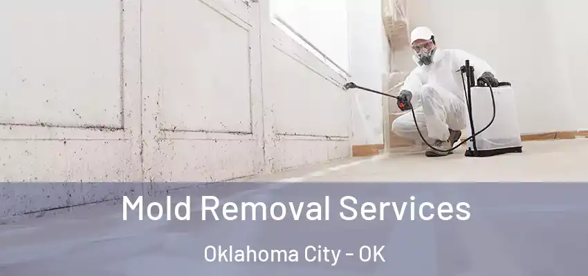  Mold Removal Services Oklahoma City - OK