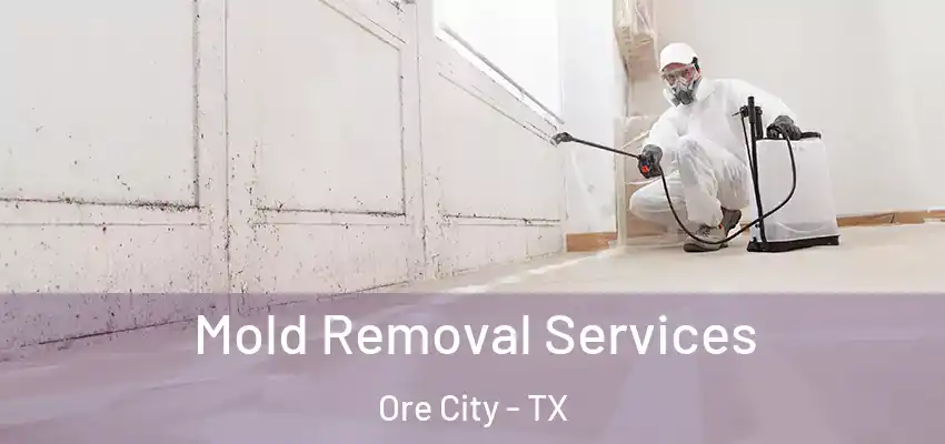  Mold Removal Services Ore City - TX