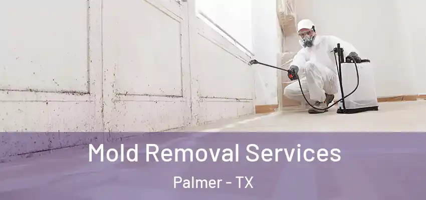 Mold Removal Services Palmer - TX