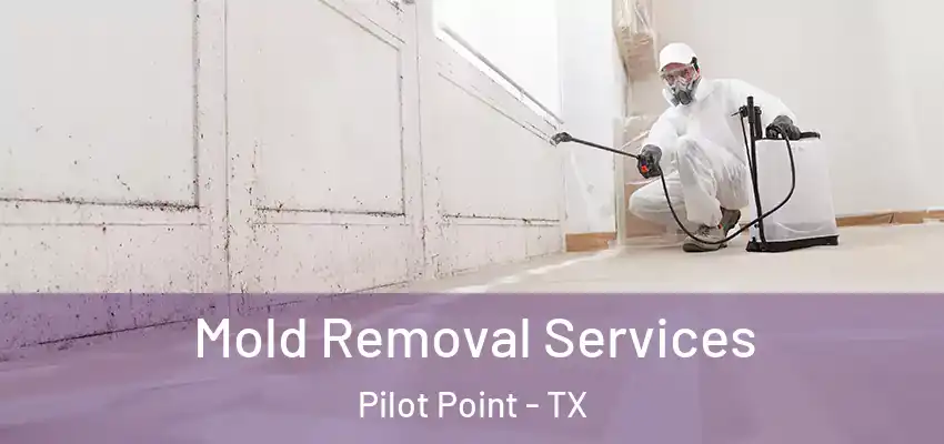 Mold Removal Services Pilot Point - TX