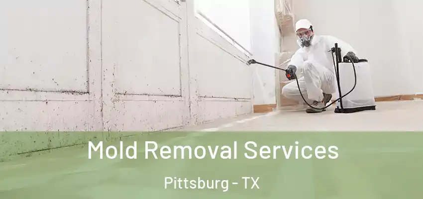 Mold Removal Services Pittsburg - TX