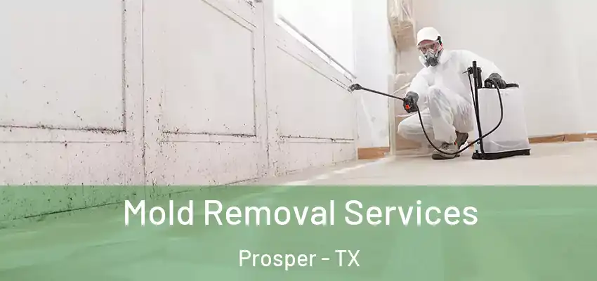 Mold Removal Services Prosper - TX