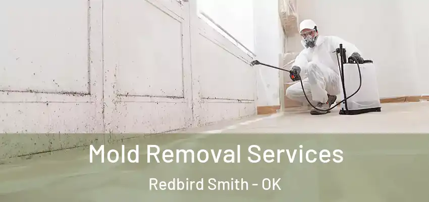 Mold Removal Services Redbird Smith - OK