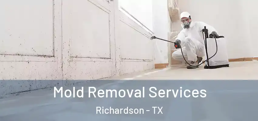  Mold Removal Services Richardson - TX